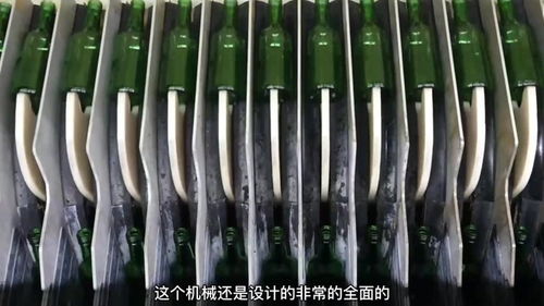 工厂生产 酒瓶 包装全过程,全自动机械日产100万瓶,涨知识了